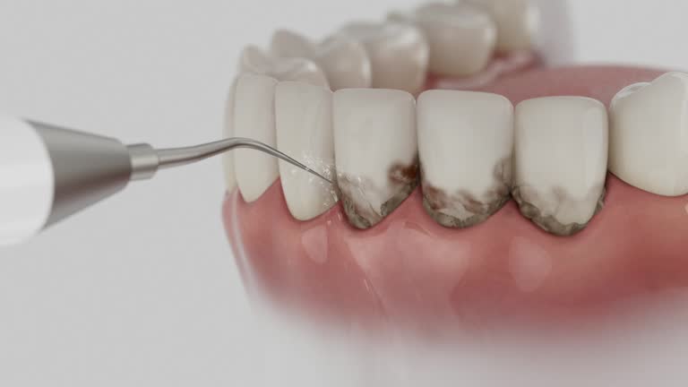 Reliable Dental contractor in Calvert City, KY by Dentist Open Now